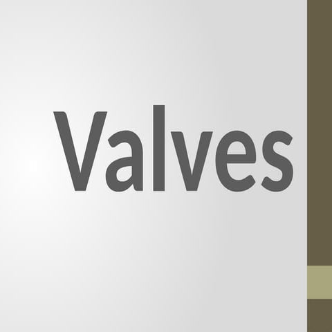 valvessssssssssssssssssssssssssssss.pptx