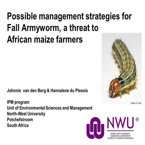 Possible management strategies for Fall Armyworm, a threat to African maize f...