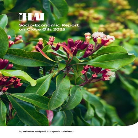 Van Aroma IFEAT - Clove Oils - Socio Economic Report .pdf