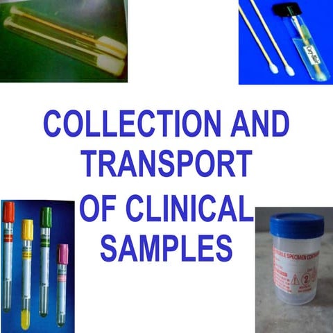 COLLECTION AND TRANSPORTATION OF CLINICAL SAMPLES