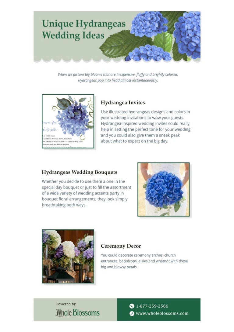 Best Ideas Of Unique Fresh Hydrangeas Wedding Flowers