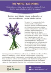 Find Out Perfect Bulk Lavender Flowers Online For Sale