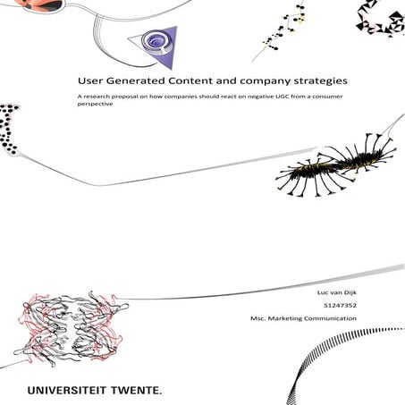 User Generated Content and company strategies 