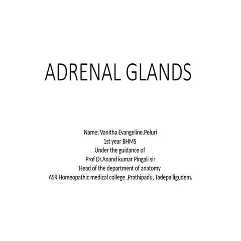 Vanitha Evangeline.P -ADRENAL GLANDS.pptx