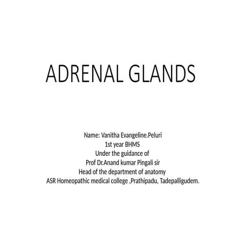 Vanitha Evangeline.Peluri roll no. 89.pptx