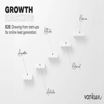 B2B & Growth Hacking: drawing from startups for online lead generation