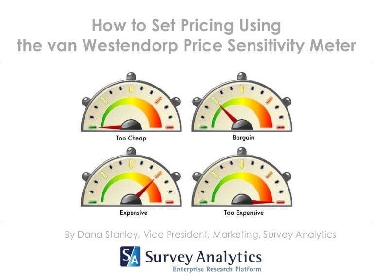 How to Set Pricing Using the Van Westendorp Price Sensitivity Meter
