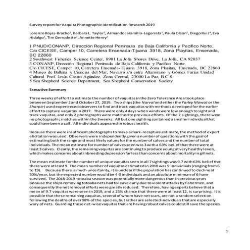 2019 Vaquita Survey Report