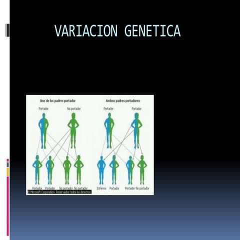 Variacion genetica | PPTX
