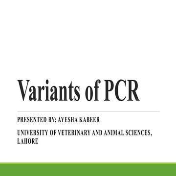 Variants of PCR