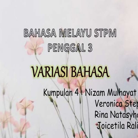 Variasi bahasa