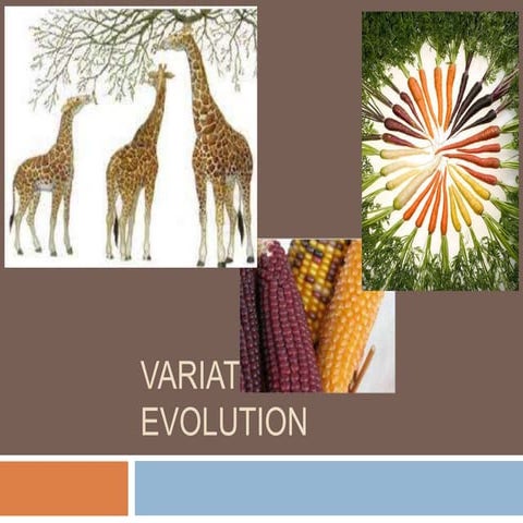Variation & evolution
