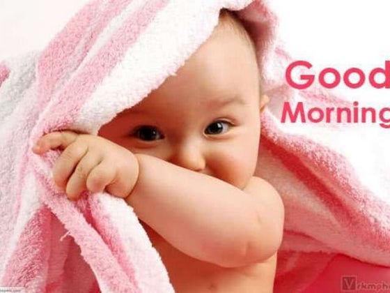 Harrison sulcus | PDF