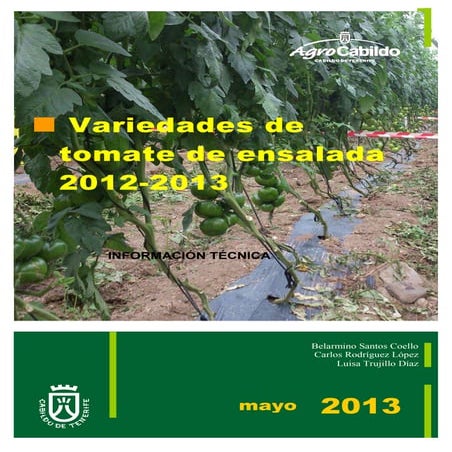 Variedades de tomate de ensalada