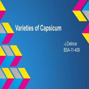 Varieties of capsicum in India