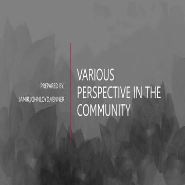 VARIOUS-PERSPECTIVE-IN-THE-COMMUNITY-2.pptx