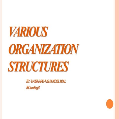 Various organisation structure ppt by vaishnavi khandelwal