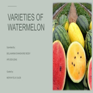 New Varities of watermelon | PPTX