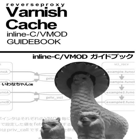 Varnish Cache inline-C/VMOD guidebook