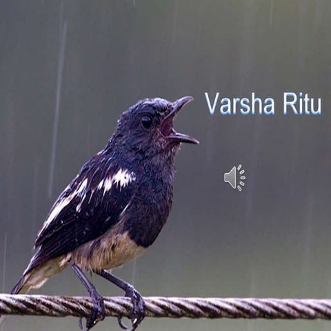Varsha ritu | PPTX