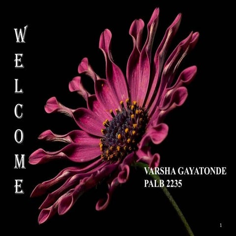 Varu gaitonde genetics of host plant disease resistance