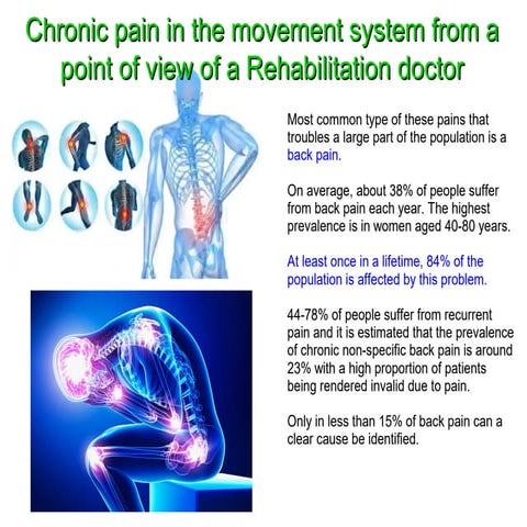 Chronic pain in the movement system from a point of view of a Rehabilitation ...