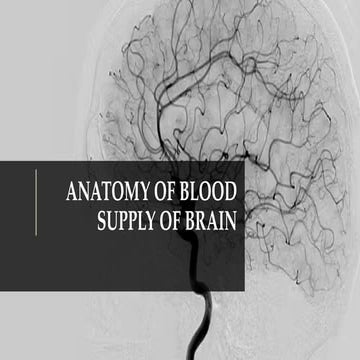 Vascular Anatomy of Brain............pptx