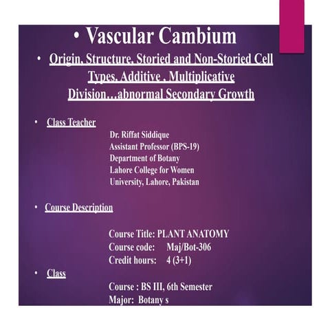 VASCULAR CAMBIUM Repaired plants anatomy