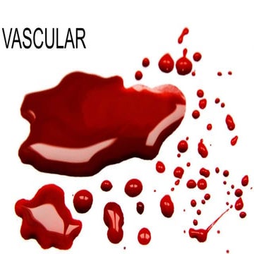 Vascular/DVT Ultrasound - CUSIC 2015