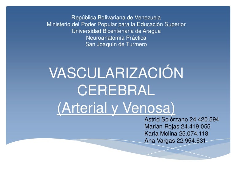 Venoso sistema slideshare y arterial