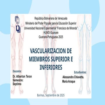 vascularizacion de miembro inferior, Arterias y venas