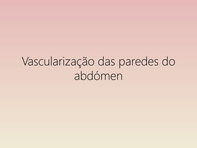 Vascularização das paredes do abdómen