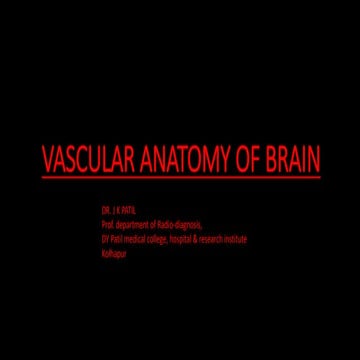 vascular supply of brain