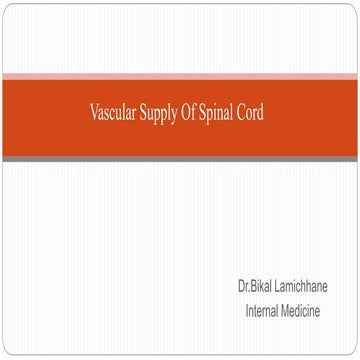Vascular supply of spinal cord dr bikal