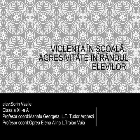 Vasile sorin violenta in scoli