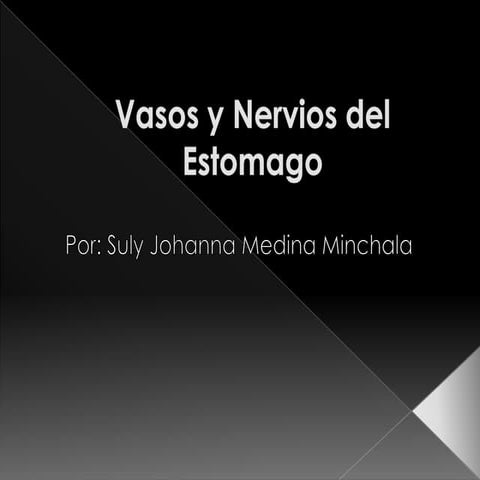 Vasos y nervios del estomago