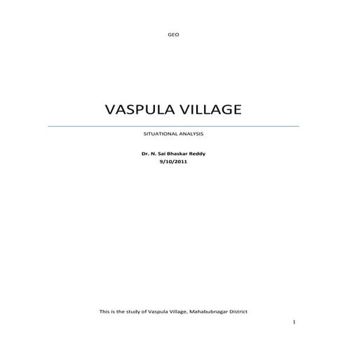 Vaspula situational analysis 2000