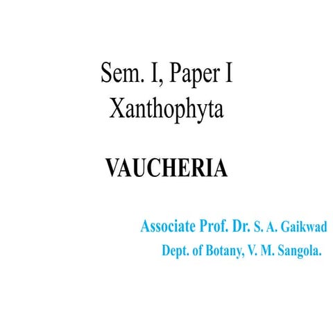 Vaucheria ppt.pptx
