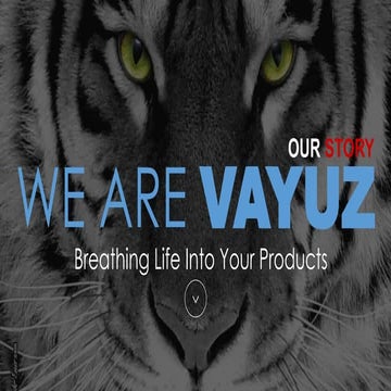 VAYUZ - Our Story
