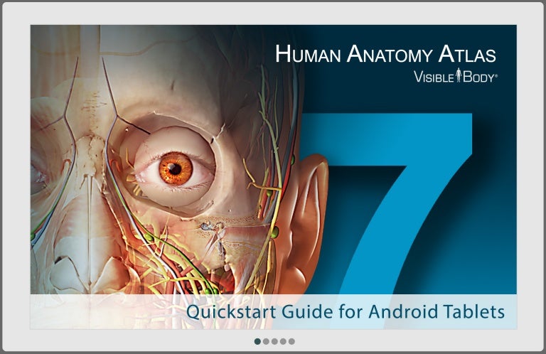 Human anatomy atlas for android - acetomain