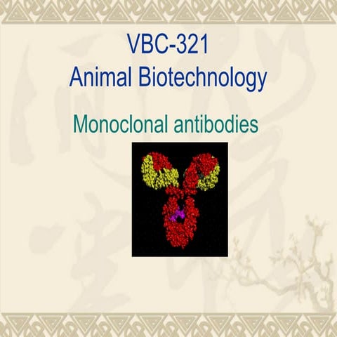 VBC-321_Monoclonal_antibodies and applications.pptx