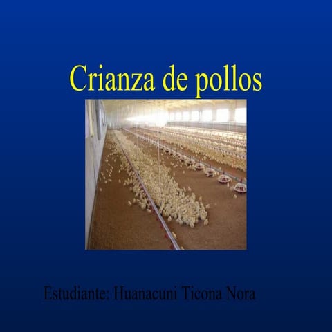 Crianza de-pollos ZOOTECNIA GENERAL 
