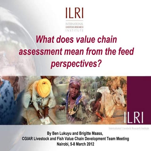 What does value chain assessment mean from the feed perspectives?