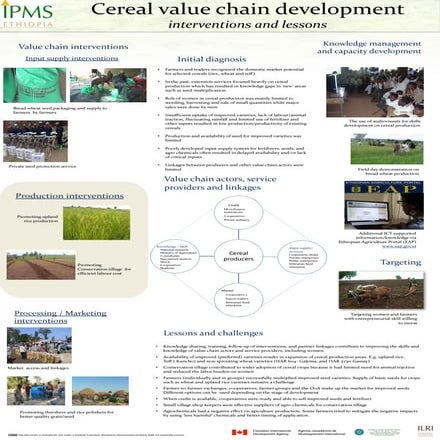 Cereal value chain development: Interventions and lessons 