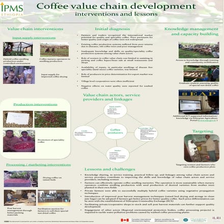 Coffee value chain development: Interventions and lessons