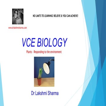 VCE Biology Plants Responding to the Environment