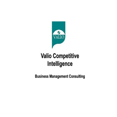 Business Management Consulting