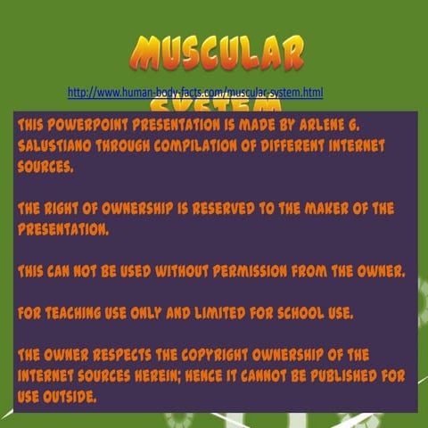 VC Lesson2 Muscular System