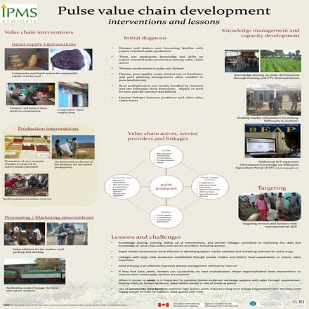 Pulse value chain development: Interventions and lessons 