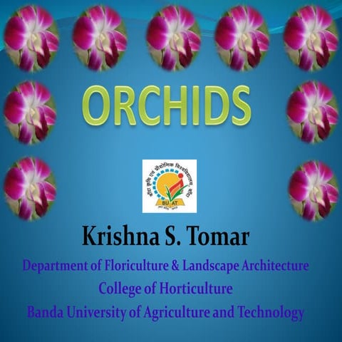 ppt_on_Orchids.pptx